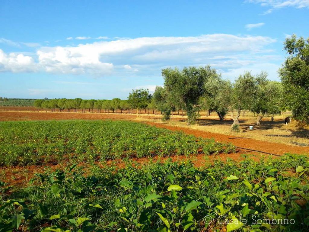 Casale Sombrino Guest House Supersano Exterior photo