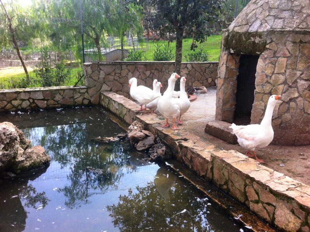 Casale Sombrino Guest House Supersano Exterior photo